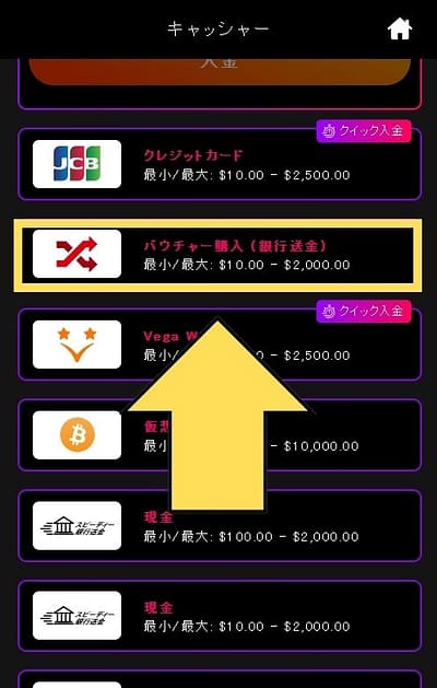 インターカジノの入金方法選択画面解説画像